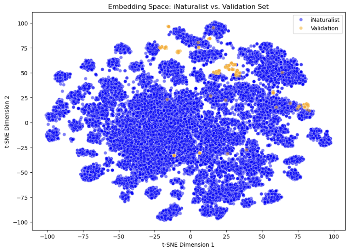Embedding Distribution Visualization